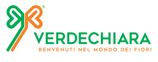 logo verdechiara-ai